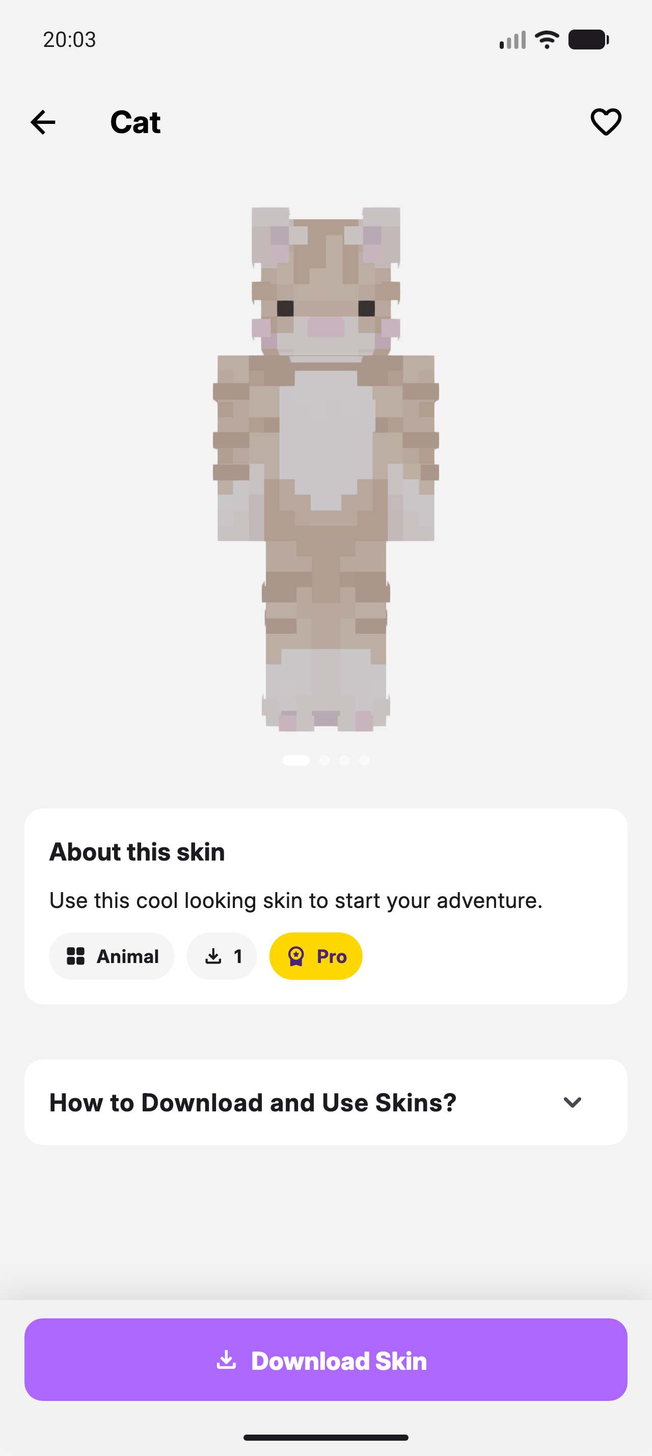 Skins for Minecraft MCPE skin detail screen with download action